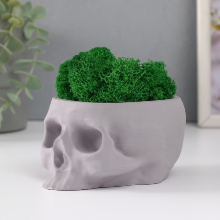 Kashpo concrete "skull" with moss lightly gray 13x9x6.5 cm (moss green stabilized)-3