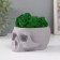 Kashpo concrete "skull" with moss lightly gray 13x9x6.5 cm (moss green stabilized)