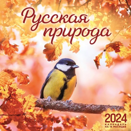 Russian nature. Wall calendar for 16 months for 2024, 30x30 cm