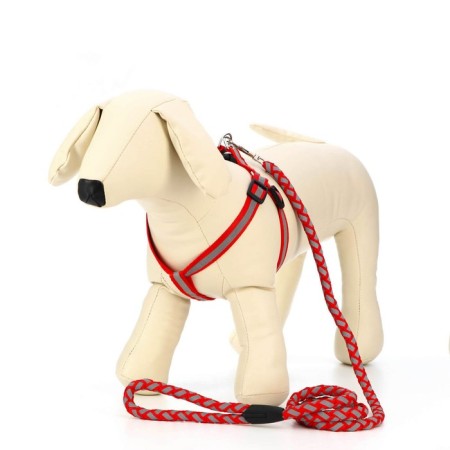 Set "braid", fluorescent, leash 115 x 1 cm, og 32-48 x 1.5 cm, red-1