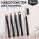 A set of makeup brushes, 5 items, PVC chech, black matte color