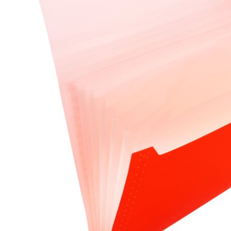 Folder Carder Calligrata Neon 6 department. A4 plastic 0.7mm orange. Cut in color-2