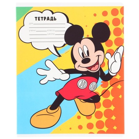 Notebook in a cage 24 sheets, 5 types of mix, cover coated paper, Minnie Mouse-3