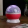Star Project Night Projector, rotation, (4AAA or USB) pink 12*10 cm Risalux