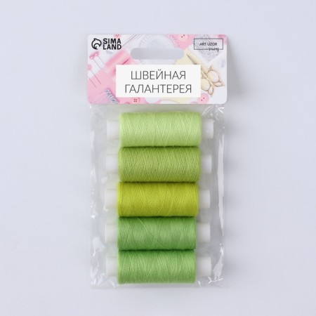 Set of threads "Laym Pie", 40/2, 200 m, 5 pcs, color colorful color-1