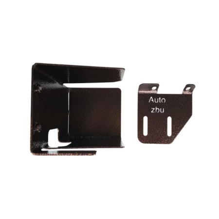 Protection Electr. Fortuner control unit-2