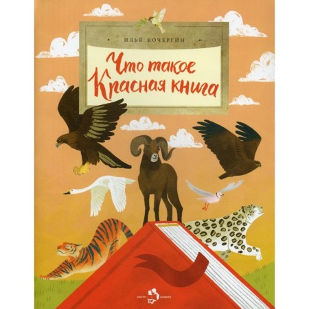What is a red book. Issue 213. 2nd edition. Kochergin I.