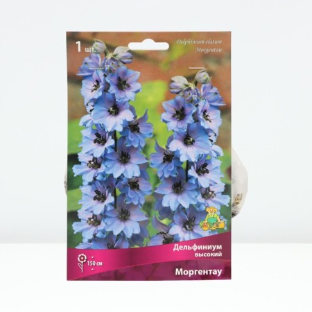 Delphinium High Morgentau, rr I, 1 pc, spring 2025