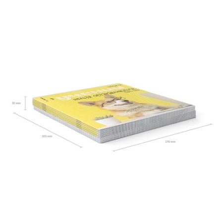 Notebook of 36 sheets in the Erichkrause Cage "Scientific Dogs", cover Combined Cardboard, Offset Block, Mix-8