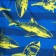 Bathing swimming trunks for the boy KAFTAN "Sharks", height 98-104 (30), Blue color