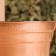 Missed copper, 2.2l, with a handle