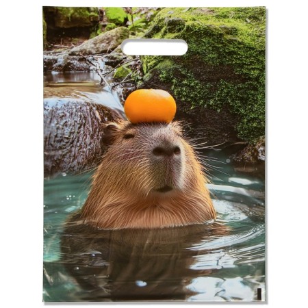 Gift Package "Capybara" 30 x 40 cm 50 μm
