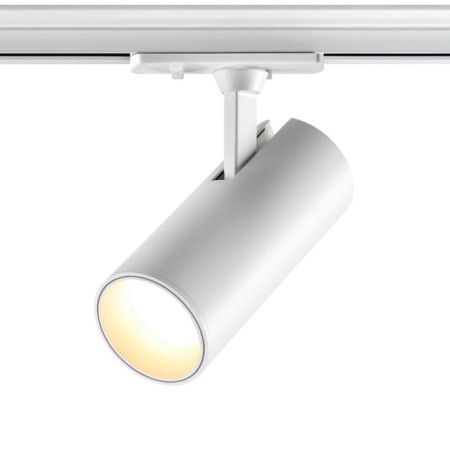 Snow -bearing single -phase two -core LED Novotech. Selene, 24W, LED, 165x80x80 mm, white color