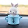 Bunny on a car panel shocking his head, C6