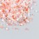 Glass bead 12/0 "mother-of-pink assorted" 10 g