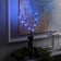 LED branch 70 cm, 20 LED, brown, AAH2 (not complete), white glow
