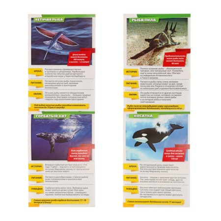 Mini-encyclopedias “We will learn about everything around. Living nature ”, 8 pcs. 20 p.-2