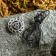 Trilav amulet, metal pudter, art casting