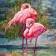 Puzzle "Flamingo", 1000 elements