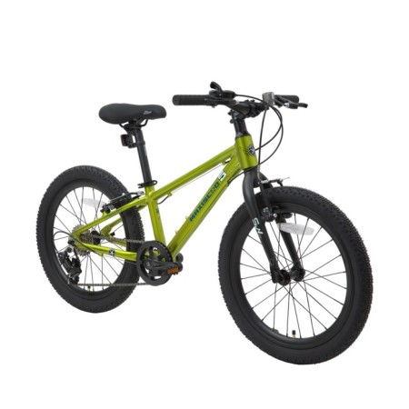 Bicycle 20 ’’ maxiscoo 5bike, Fresh lime color, size M-1