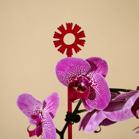 Support for orchids, h = 44 cm, plastic, raspberry, mix-9