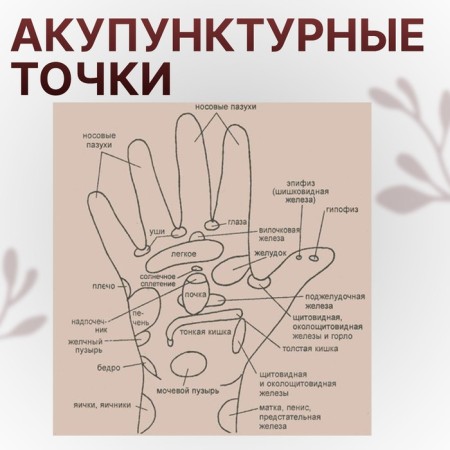 Su-jok massage, d = 3.5 cm, with 2 rings, green color-4