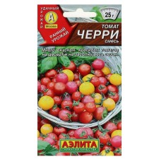 Seeds Tomat 