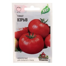 Seeds Tomat 