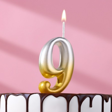 Candle for the cake the figure "Oval" "9", 5.5 cm, gold-serebly