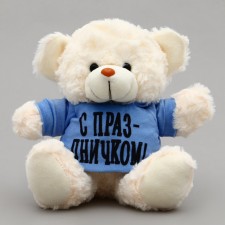 Soft toy Mishka 