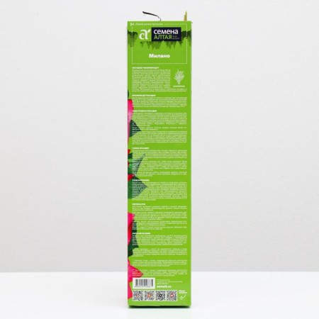 Milano rose seedling 1 pc, spring 2021-1