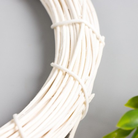 Ring Roadan for manufacturing the capture catcher "cream" d = 20 cm-1