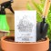 Seeds Radis are pink red with a white tip, BP, 2 g