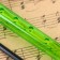 Music Life Blockflate, 8 holes, German system, green
