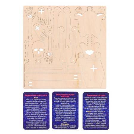Set for experiments "Human Building", 10 training cards-3