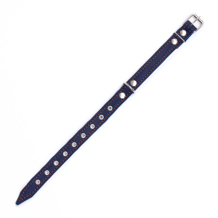 Collar combined leather/tarpaulin, dimensionless, 56 x 2.5 cm, Osh 25-51 cm, blue-3
