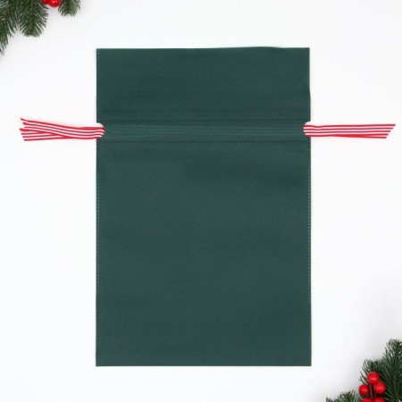 Gift bag "Christmas guest", 27 x 40.5 cm-4