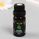 Aromatic oil for candles "peppermint" 10 ml 2.5x2.5x6.3 cm
