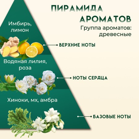 Крем-гель для душа Tesori d’Oriente Forest Ritual с ароматом кувшинки и дерева Хиноки, 500 мл-1