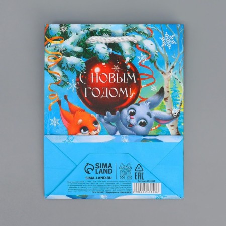 New Year's laminated gift packet “You in the New Year”, s 12 x 15 x 5.5 cm-8
