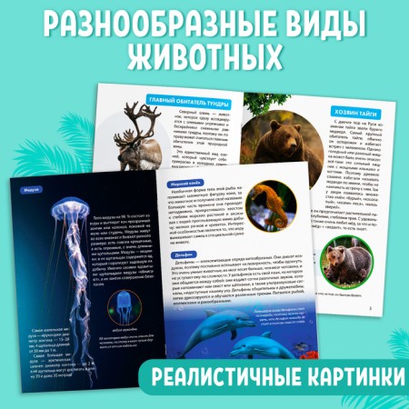 Mini-encyclopedias set of animals, 6 pcs. 20 p.-2