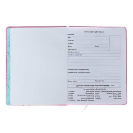 Universal diary for grade 1-11 Manga Girl, integral cover, artificial leather, silkography, lies, 80 g/m2-3