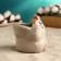 Pot "Koteka", 6.2x7.5x5.5cm, mix