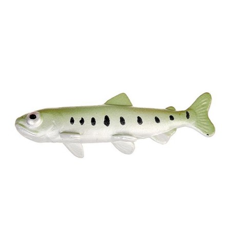 Training set "Stages of fish development" 5 figures-6