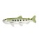 Training set "Stages of fish development" 5 figures
