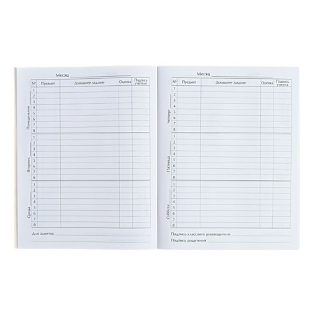 Universal diary for grades 1-11, "Anime Girl", soft cover, 40 sheets-9