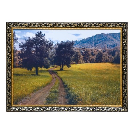 Picture "Tropy" 50*70 cm