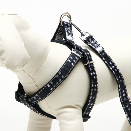 The ammunition set is two-layer, size L, leash 120 x 2 cm, Osh 31-45, OG 35-52 cm, stars-1