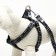 The ammunition set is two-layer, size L, leash 120 x 2 cm, Osh 31-45, OG 35-52 cm, stars
