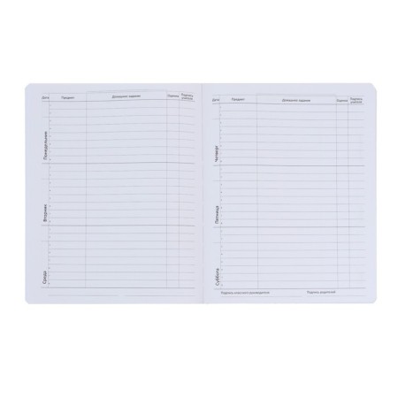 Universal diary for grade 1-11 you here, hard cover, artificial leather, liesse, 80 g/m2-6